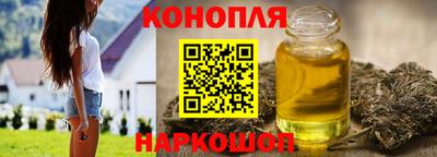 спиды Заводоуковск