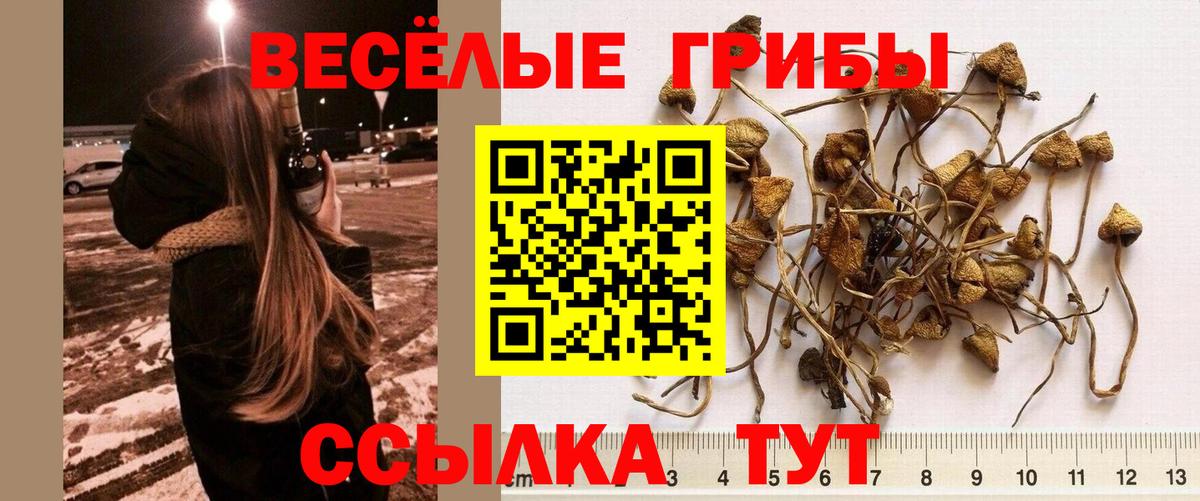 Галлюциногенные грибы мицелий  Галлюциногенные грибы MAGIC MUSHROOMS  Карпинск  Вход с VPN 