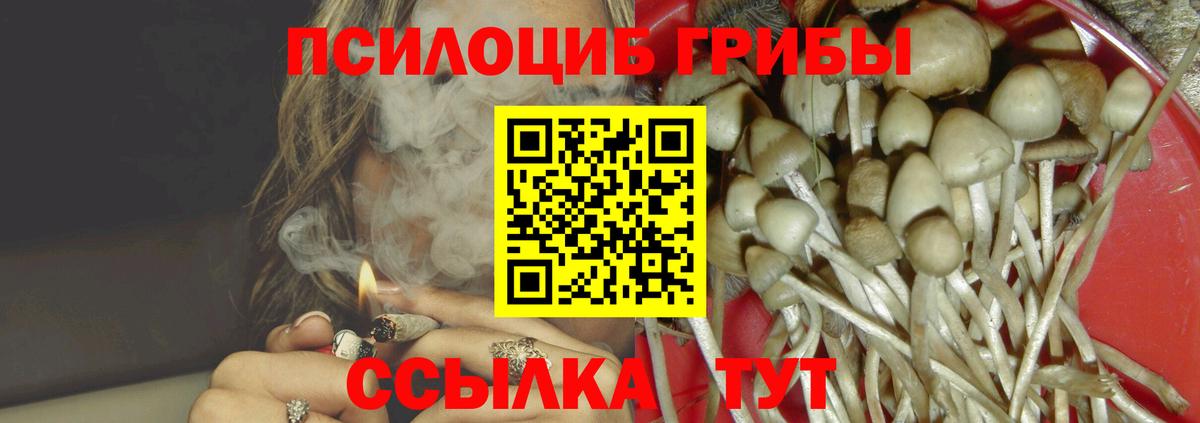Галлюциногенные грибы Psilocybine cubensis Карпинск